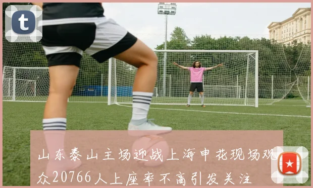 山东泰山主场迎战上海申花现场观众20766人上座率不高引发关注