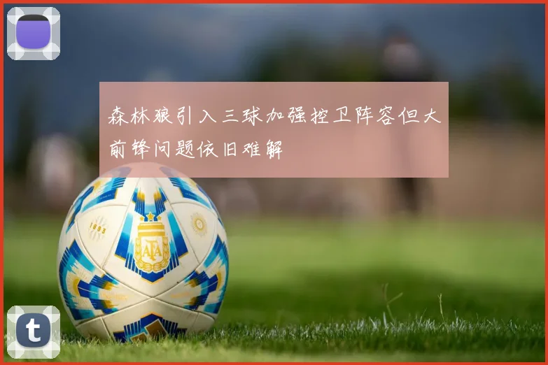 森林狼引入三球加强控卫阵容但大前锋问题依旧难解