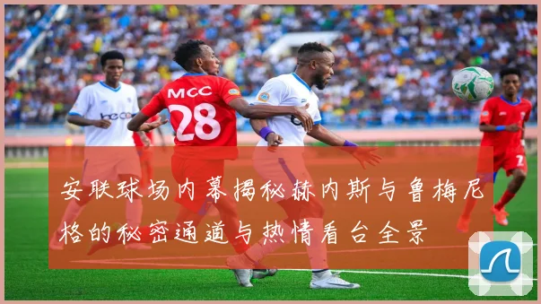 安联球场内幕揭秘赫内斯与鲁梅尼格的秘密通道与热情看台全景